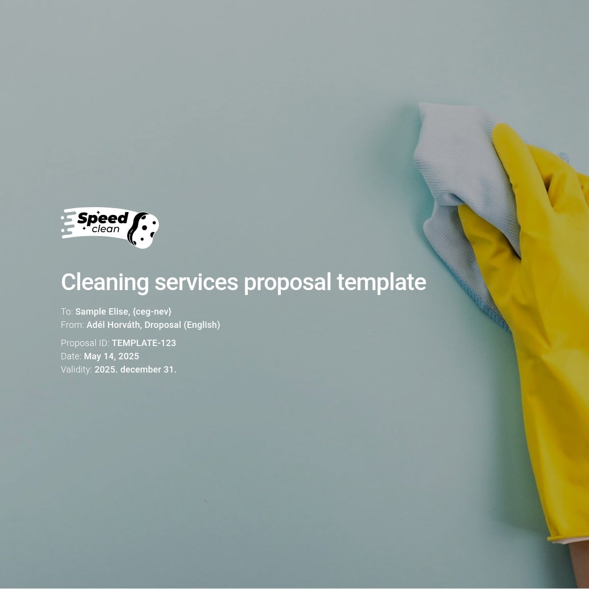 Cleaning services proposal template