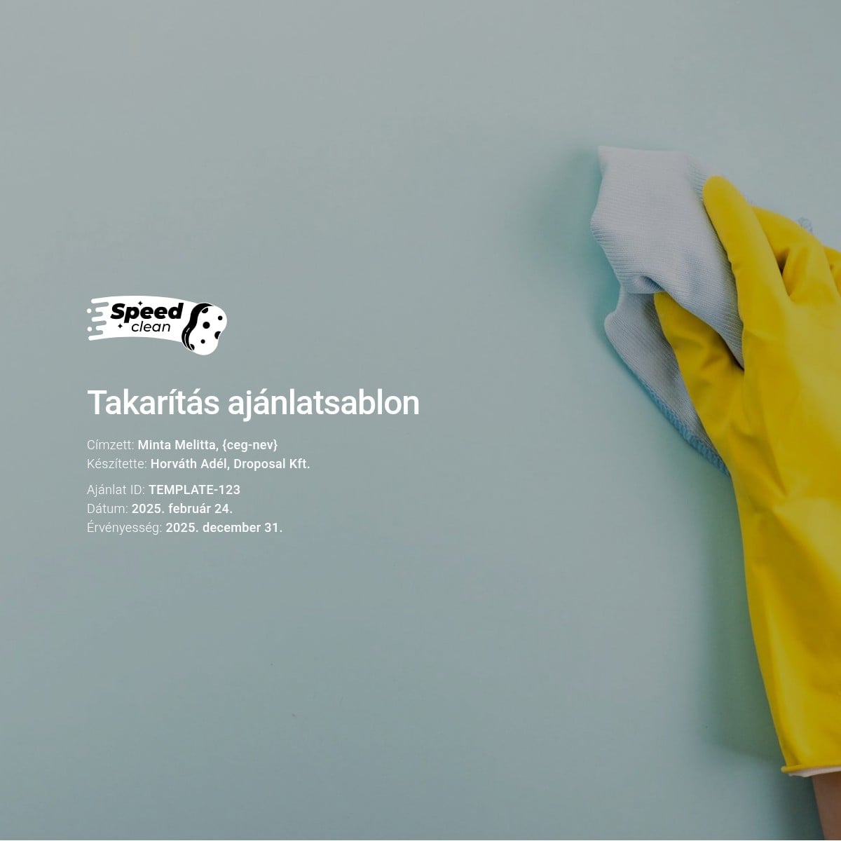 Takarítás ajánlatsablon