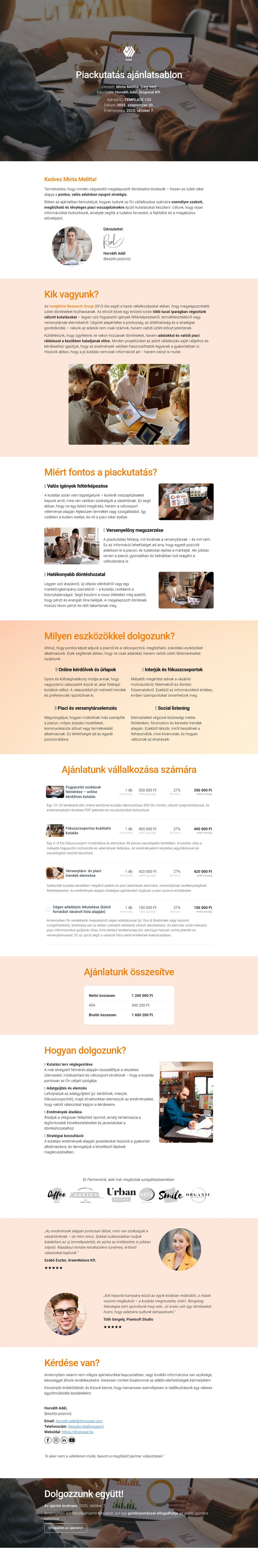 Piackutatás ajánlatsablon sablon screenshot