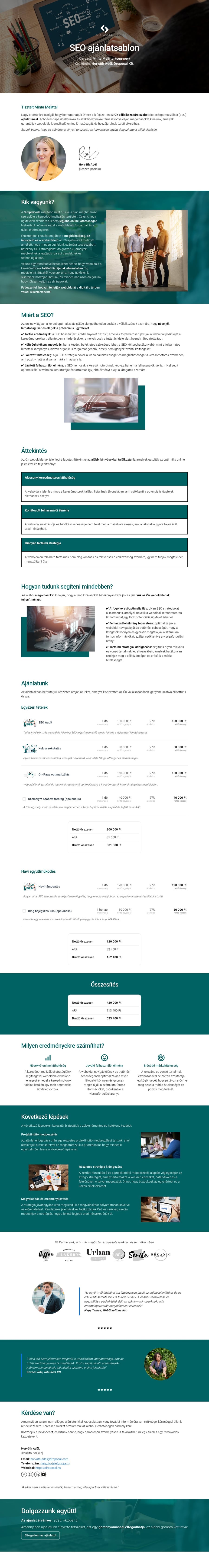 SEO ajánlatsablon sablon screenshot