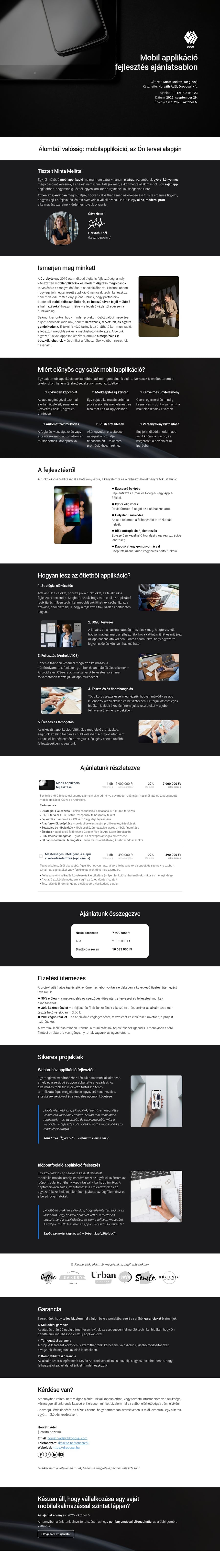 Mobil applikáció fejlesztés ajánlatsablon sablon screenshot