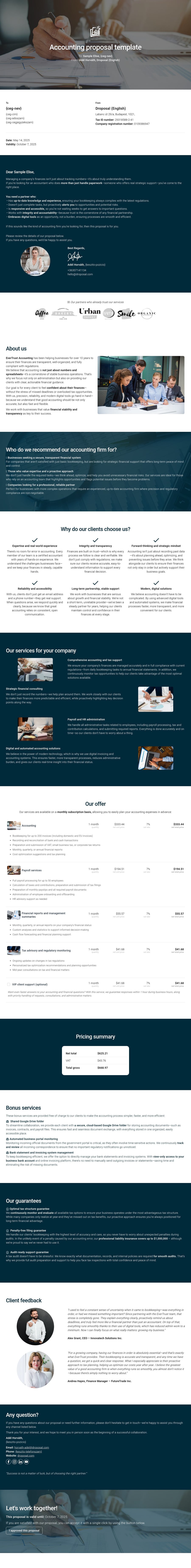 Accounting proposal template template screenshot