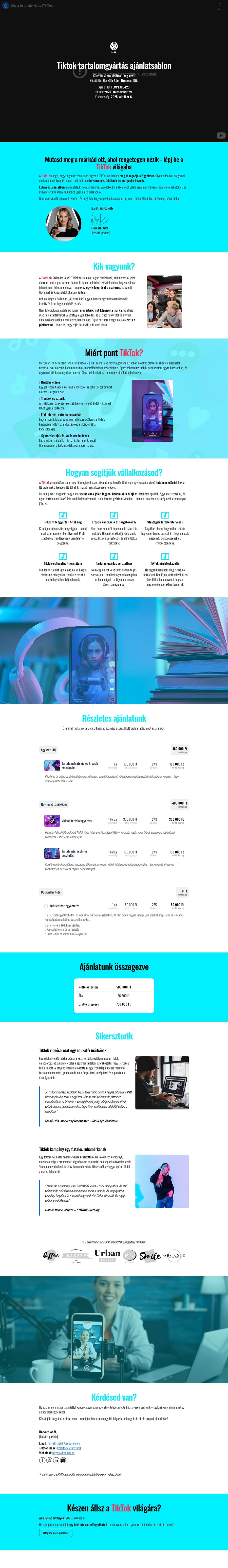 Tiktok tartalomgyártás ajánlatsablon sablon screenshot