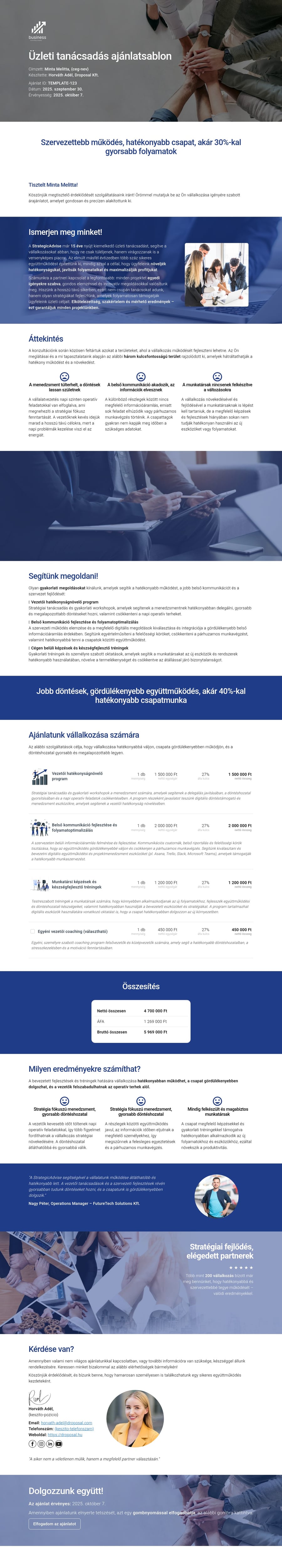 Üzleti tanácsadás ajánlatsablon sablon screenshot