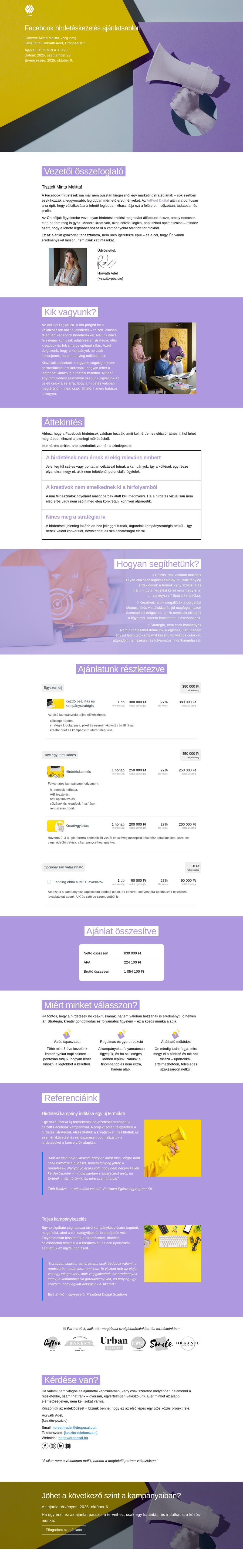 Facebook hirdetéskezelés ajánlatsablon sablon screenshot