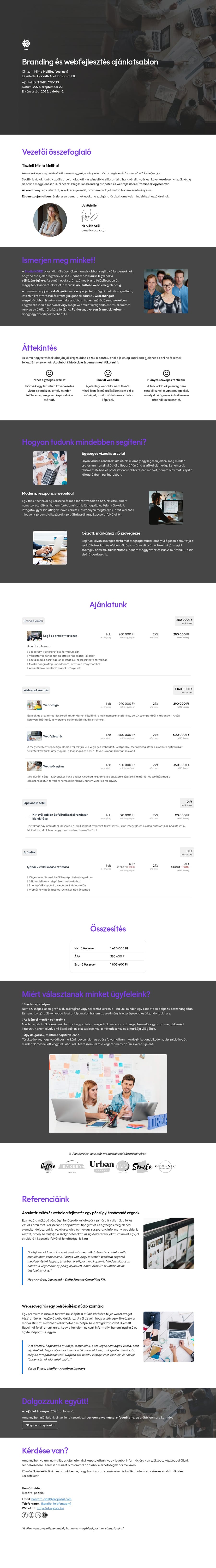 Branding és webfejlesztés ajánlatsablon sablon screenshot