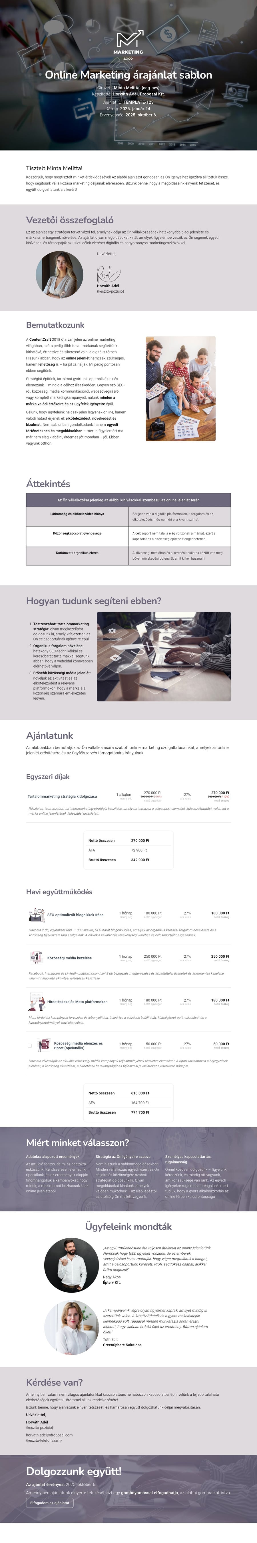 Online Marketing árajánlat sablon sablon screenshot