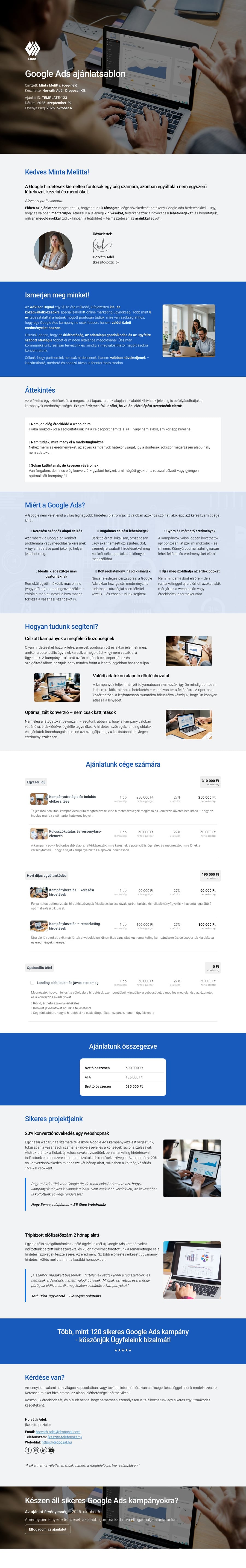 Google Ads ajánlatsablon sablon screenshot