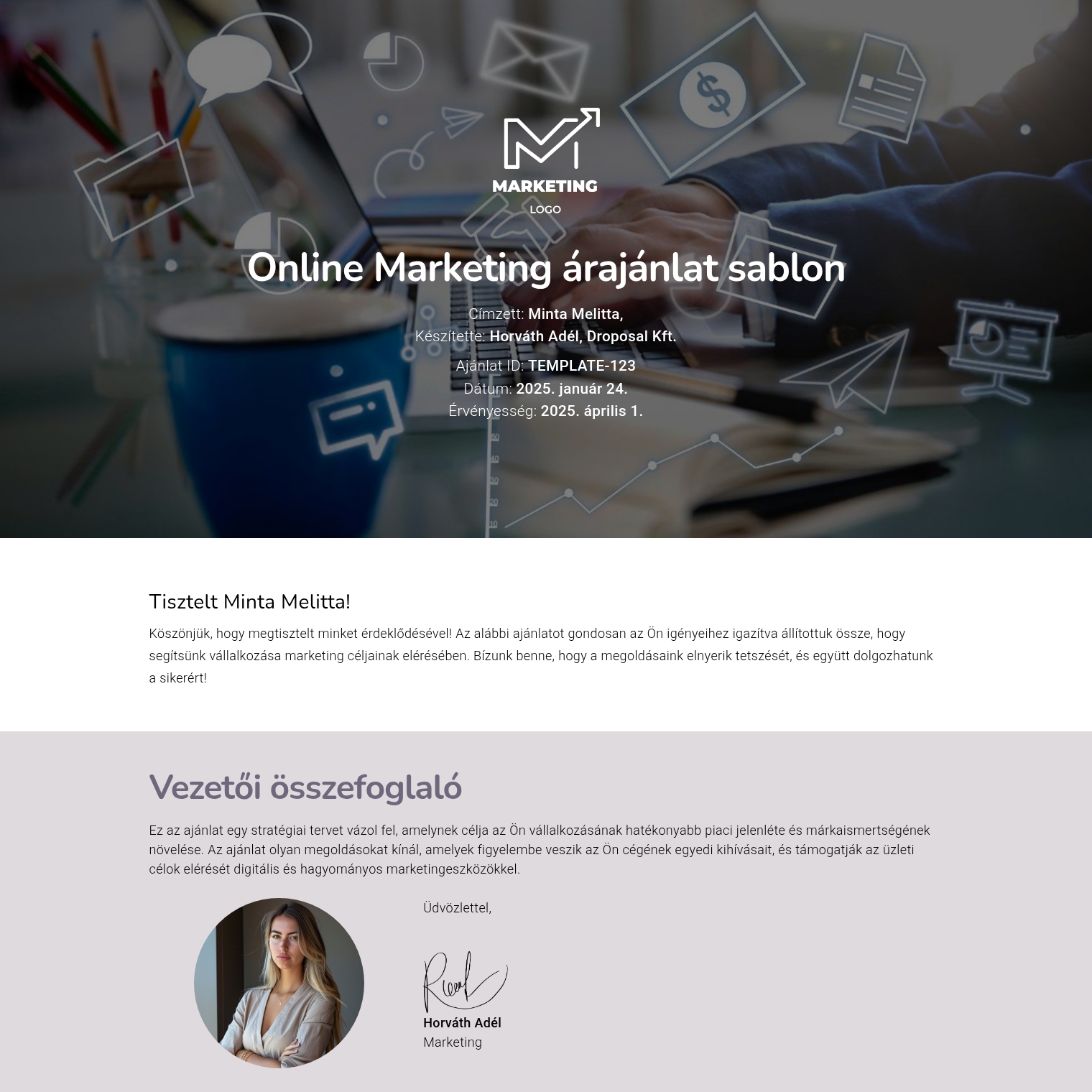 Online Marketing árajánlat sablon