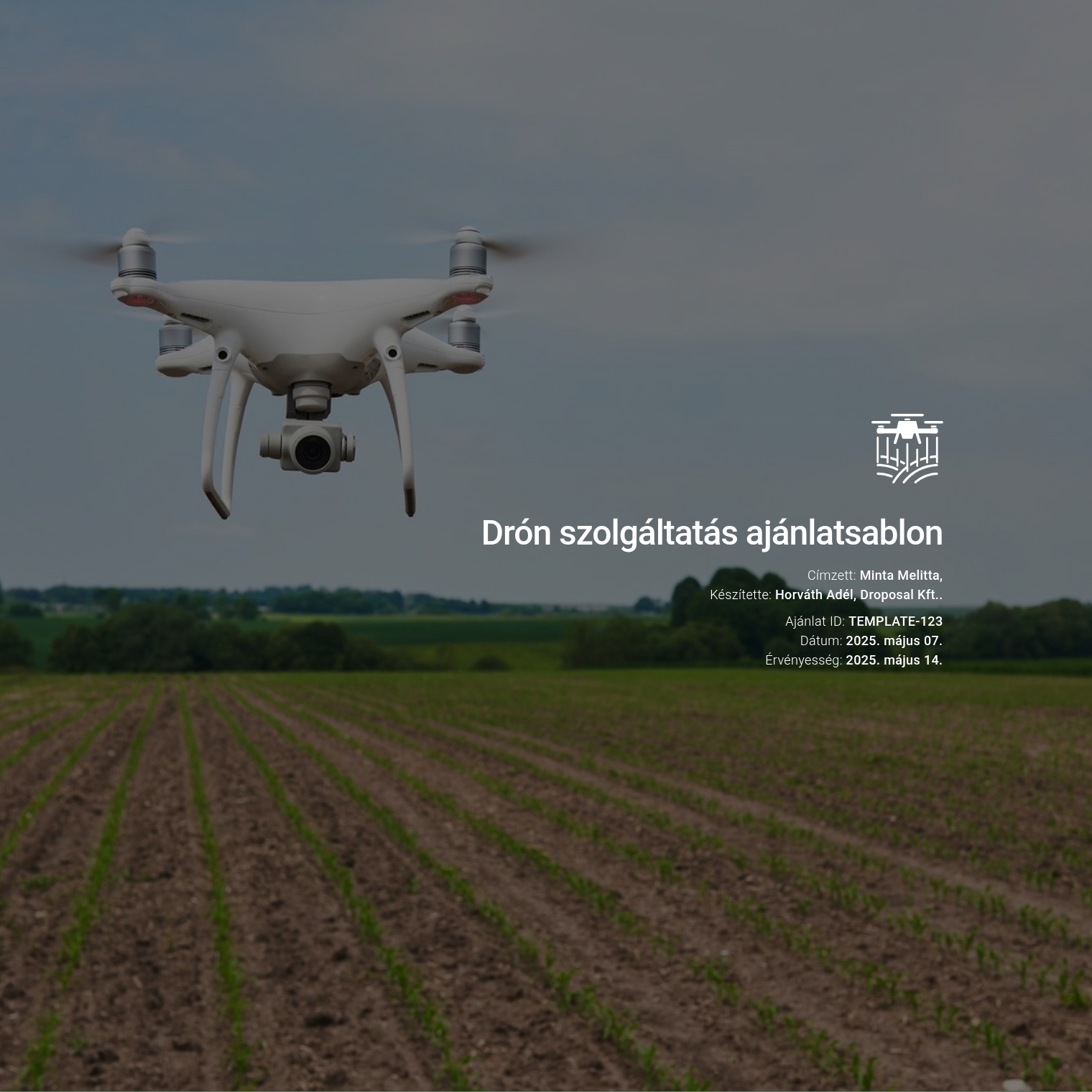 Drón szolgáltatás ajánlatsablon